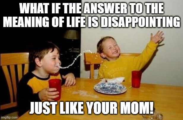 That IS Disappointing | WHAT IF THE ANSWER TO THE MEANING OF LIFE IS DISAPPOINTING; JUST LIKE YOUR MOM! | image tagged in yo momma so fat | made w/ Imgflip meme maker