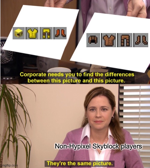 They're The Same Picture | Non-Hypixel Skyblock players | image tagged in memes,they're the same picture | made w/ Imgflip meme maker
