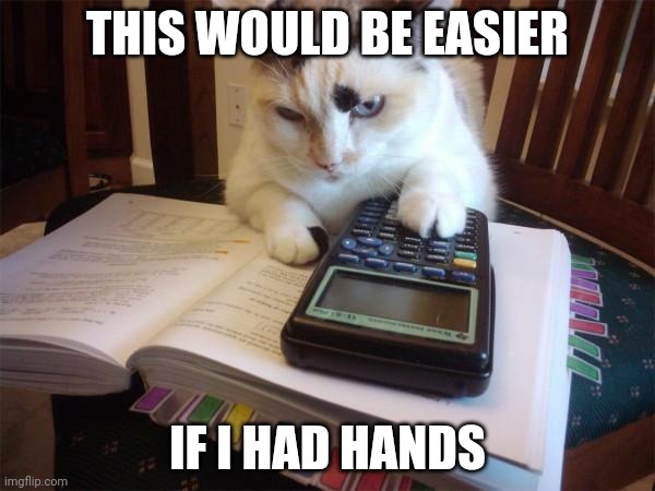 Math cat |  THIS WOULD BE EASIER; IF I HAD HANDS | image tagged in math cat | made w/ Imgflip meme maker