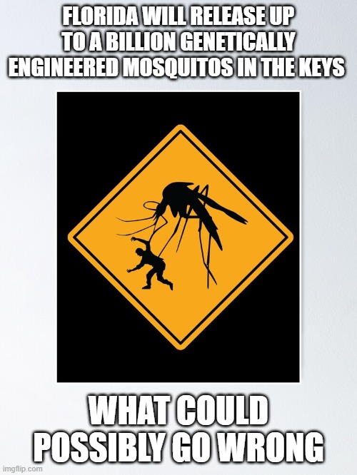 Bionic Mosquitos | FLORIDA WILL RELEASE UP TO A BILLION GENETICALLY ENGINEERED MOSQUITOS IN THE KEYS; WHAT COULD POSSIBLY GO WRONG | image tagged in mosquito,weird science,funny,politics | made w/ Imgflip meme maker