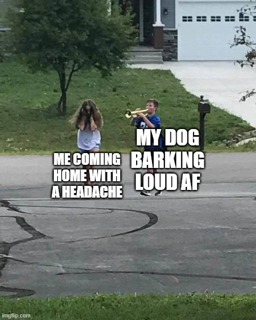 Coming home with a headache | MY DOG BARKING LOUD AF; ME COMING HOME WITH A HEADACHE | image tagged in trumpet boy | made w/ Imgflip meme maker
