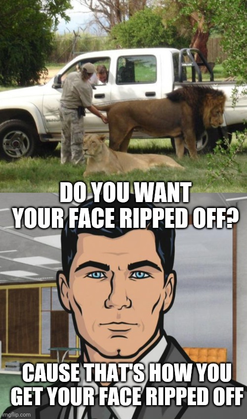 GRAB EM BY THE BALLS |  DO YOU WANT YOUR FACE RIPPED OFF? CAUSE THAT'S HOW YOU GET YOUR FACE RIPPED OFF | image tagged in memes,archer,lions,lion,wtf | made w/ Imgflip meme maker