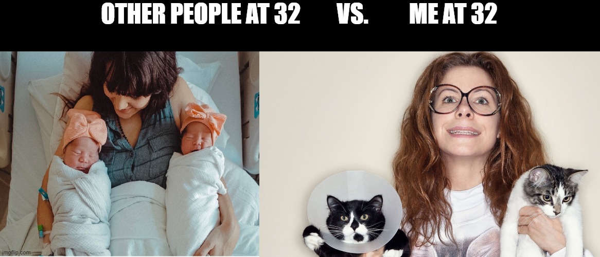 Me at 32 | OTHER PEOPLE AT 32        VS.         ME AT 32 | image tagged in cats,family,adulting | made w/ Imgflip meme maker