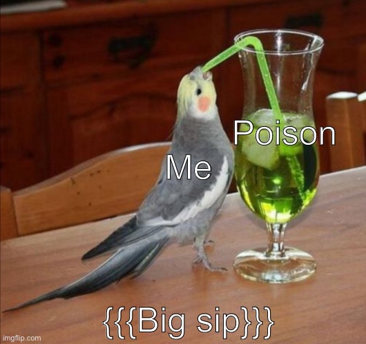 Bird drinking green juice | Poison Me {{{Big sip}}} | image tagged in bird drinking green juice | made w/ Imgflip meme maker