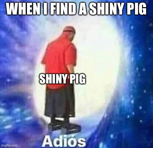Adios | WHEN I FIND A SHINY PIG; SHINY PIG | image tagged in adios | made w/ Imgflip meme maker