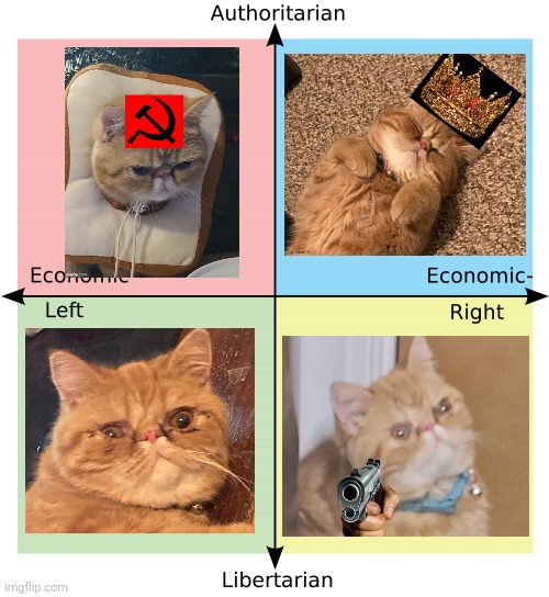 I can has ideology | image tagged in political compass | made w/ Imgflip meme maker