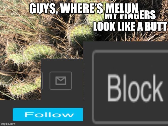 Plz don’t tell my what I guessed in the tags is true | GUYS, WHERE’S MELUN | image tagged in new cactus official template,oh no,plz,no,oh hell no,deleted | made w/ Imgflip meme maker