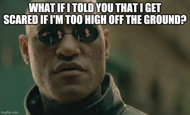 Matrix Morpheus | WHAT IF I TOLD YOU THAT I GET SCARED IF I'M TOO HIGH OFF THE GROUND? | image tagged in memes,matrix morpheus | made w/ Imgflip meme maker