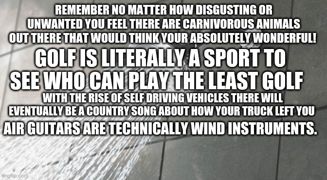 more shower thoughts!! | REMEMBER NO MATTER HOW DISGUSTING OR UNWANTED YOU FEEL THERE ARE CARNIVOROUS ANIMALS OUT THERE THAT WOULD THINK YOUR ABSOLUTELY WONDERFUL! GOLF IS LITERALLY A SPORT TO SEE WHO CAN PLAY THE LEAST GOLF; WITH THE RISE OF SELF DRIVING VEHICLES THERE WILL EVENTUALLY BE A COUNTRY SONG ABOUT HOW YOUR TRUCK LEFT YOU; AIR GUITARS ARE TECHNICALLY WIND INSTRUMENTS. | image tagged in shower thoughts | made w/ Imgflip meme maker
