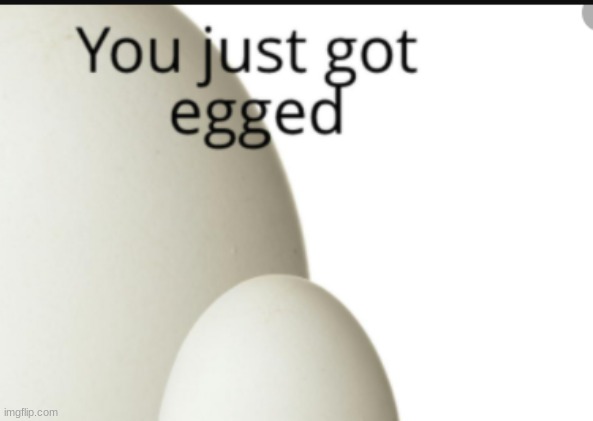 you just got egged | image tagged in you just got egged | made w/ Imgflip meme maker