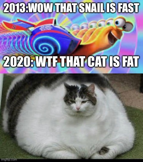 FATTTTT CATTTTTT | 2013:WOW THAT SNAIL IS FAST; 2020: WTF THAT CAT IS FAT | image tagged in fat cat,turbo | made w/ Imgflip meme maker
