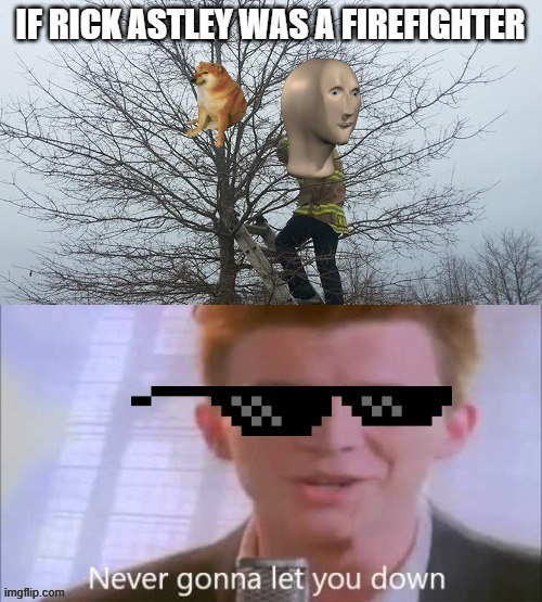 never gonna let you down | image tagged in rickroll,meme,fun | made w/ Imgflip meme maker