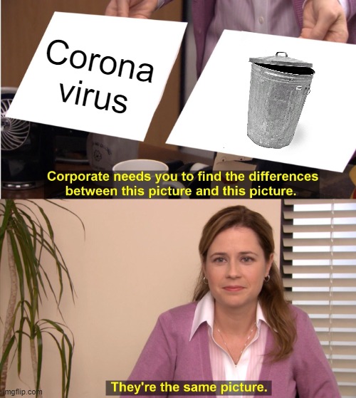 They're The Same Picture Meme | Corona virus | image tagged in memes,they're the same picture | made w/ Imgflip meme maker