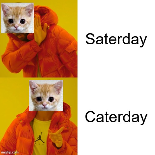 Drake Hotline Bling Meme | Saterday Caterday | image tagged in memes,drake hotline bling | made w/ Imgflip meme maker