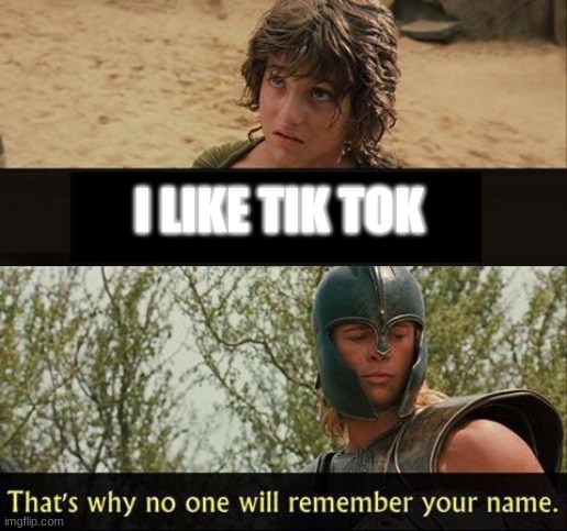 Troy no one will remember your name | I LIKE TIK TOK | image tagged in troy no one will remember your name | made w/ Imgflip meme maker