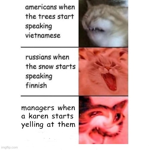 managers when a karen starts yelling at them | image tagged in funny,fun,cats,memes,funny memes | made w/ Imgflip meme maker