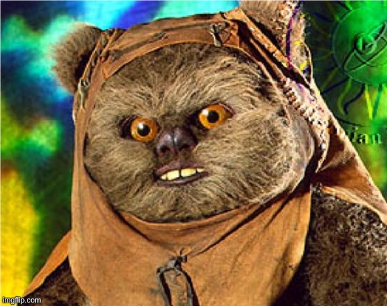 Angry Ewok | image tagged in angry ewok | made w/ Imgflip meme maker