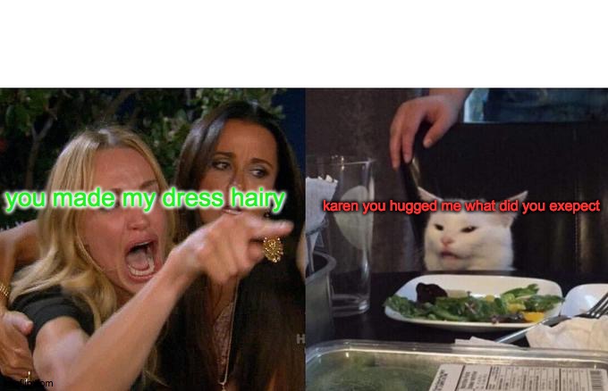 Woman Yelling At Cat | you made my dress hairy; karen you hugged me what did you exepect | image tagged in memes,woman yelling at cat | made w/ Imgflip meme maker