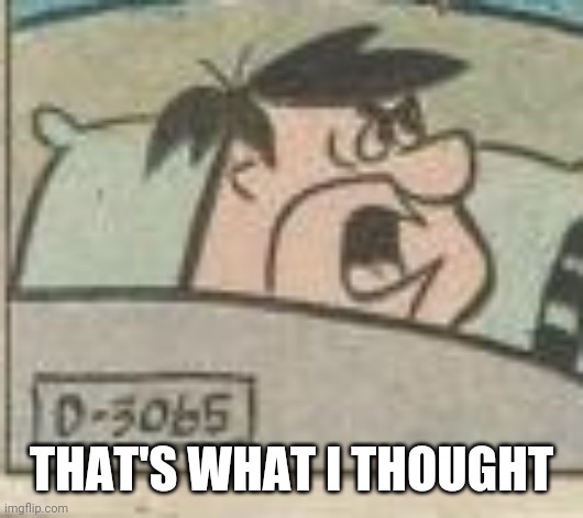 THAT'S WHAT I THOUGHT | made w/ Imgflip meme maker