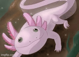 the anime axolotl cant wait until this gets added to minecraft | image tagged in gifs,axolotl | made w/ Imgflip images-to-gif maker