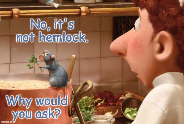 Remy: caught in the act | No, it's not hemlock. Why would you ask? | image tagged in pixar,rat,cook,ratatouille | made w/ Imgflip meme maker