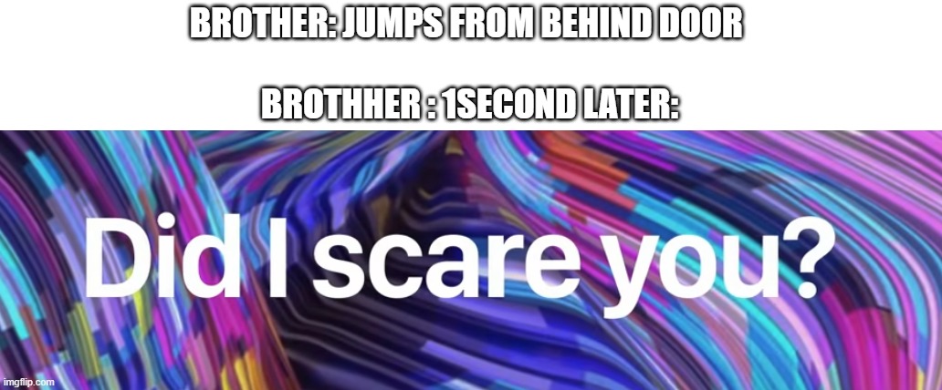 did i scare you | BROTHER: JUMPS FROM BEHIND DOOR 
 
BROTHHER : 1SECOND LATER: | image tagged in scared | made w/ Imgflip meme maker