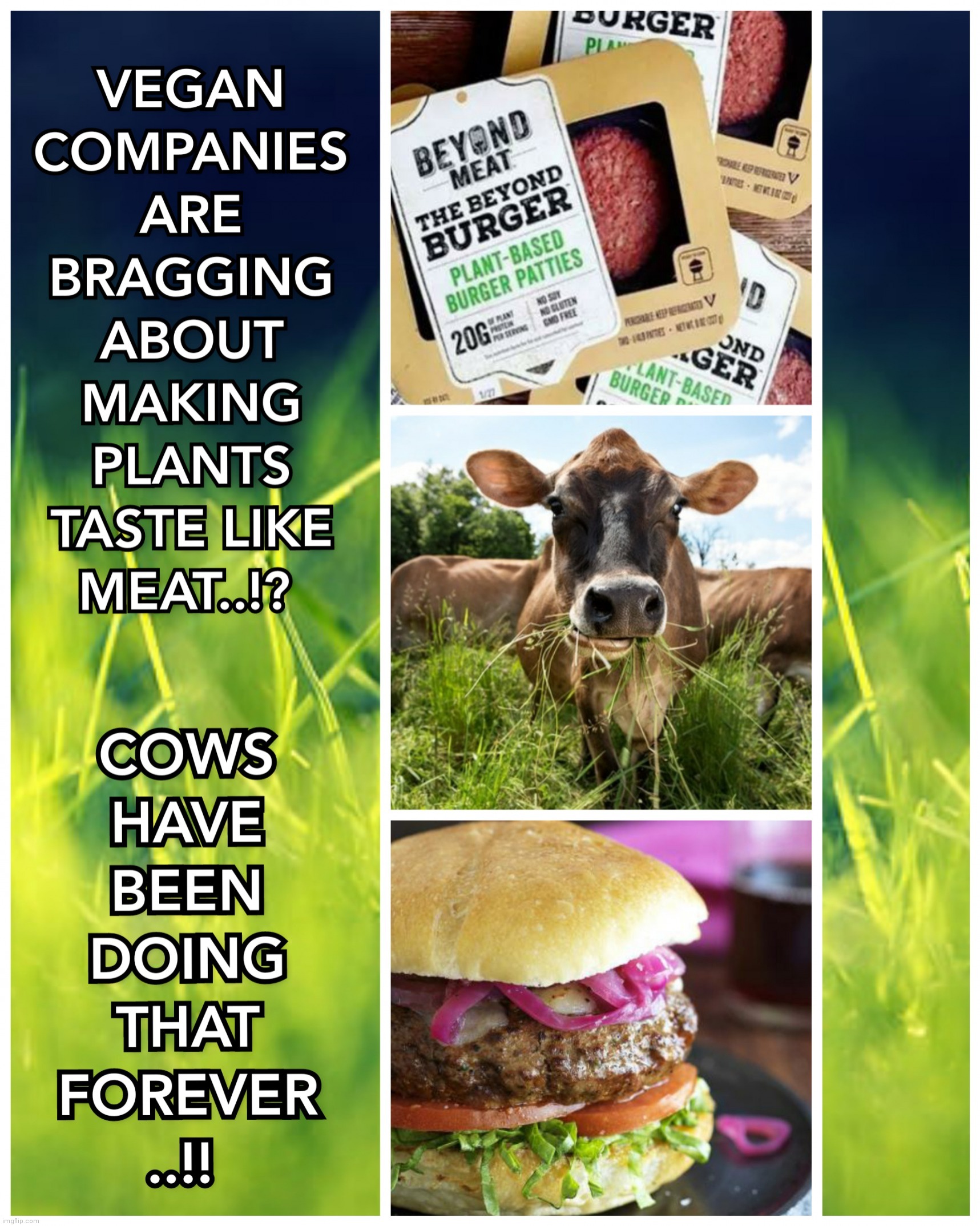 VEGAN COMPANIES ARE BRAGGING ABOUT MAKING  PLANTS TASTE LIKE MEAT..!? COWS HAVE BEEN DOING THAT FOREVER..!! | image tagged in meat,hamburger,vegan,company,memes,cows | made w/ Imgflip meme maker