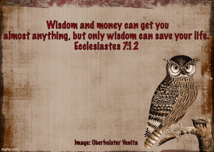 Wiser than an Owl | Wisdom and money can get you almost anything, but only wisdom can save your life. 
Ecclesiastes 7:12; Image: Oberholster Venita | image tagged in treasures in heaven | made w/ Imgflip meme maker