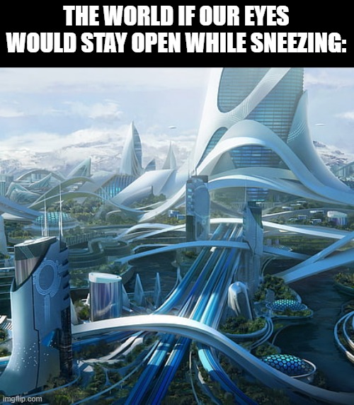 hwy not tho | THE WORLD IF OUR EYES WOULD STAY OPEN WHILE SNEEZING: | image tagged in the world if | made w/ Imgflip meme maker
