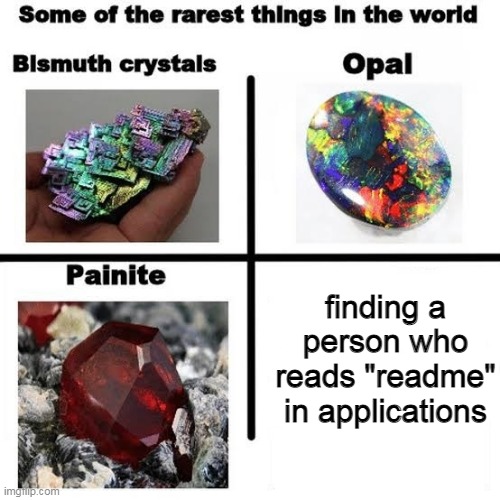 finding a person who reads "readme" in applications | image tagged in memes | made w/ Imgflip meme maker