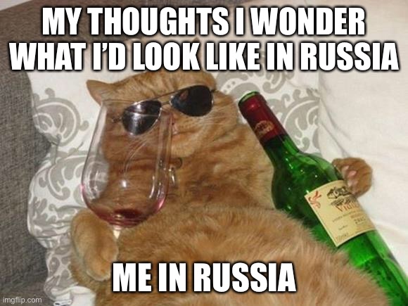 Funny Cat Birthday | MY THOUGHTS I WONDER WHAT I’D LOOK LIKE IN RUSSIA; ME IN RUSSIA | image tagged in funny cat birthday | made w/ Imgflip meme maker