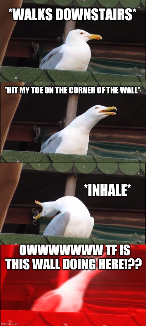 Inhaling Seagull Meme | *WALKS DOWNSTAIRS*; *HIT MY TOE ON THE CORNER OF THE WALL*; *INHALE*; OWWWWWWW TF IS THIS WALL DOING HERE!?? | image tagged in memes,inhaling seagull | made w/ Imgflip meme maker