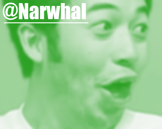 narwhal pog temp Blank Meme Template