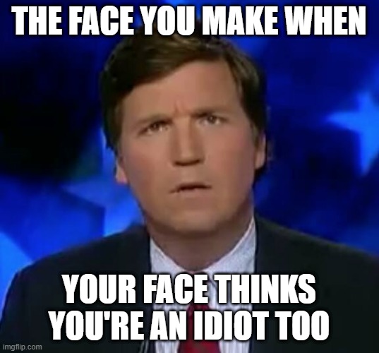 Tuck Tuck | THE FACE YOU MAKE WHEN; YOUR FACE THINKS YOU'RE AN IDIOT TOO | image tagged in confused tucker carlson | made w/ Imgflip meme maker
