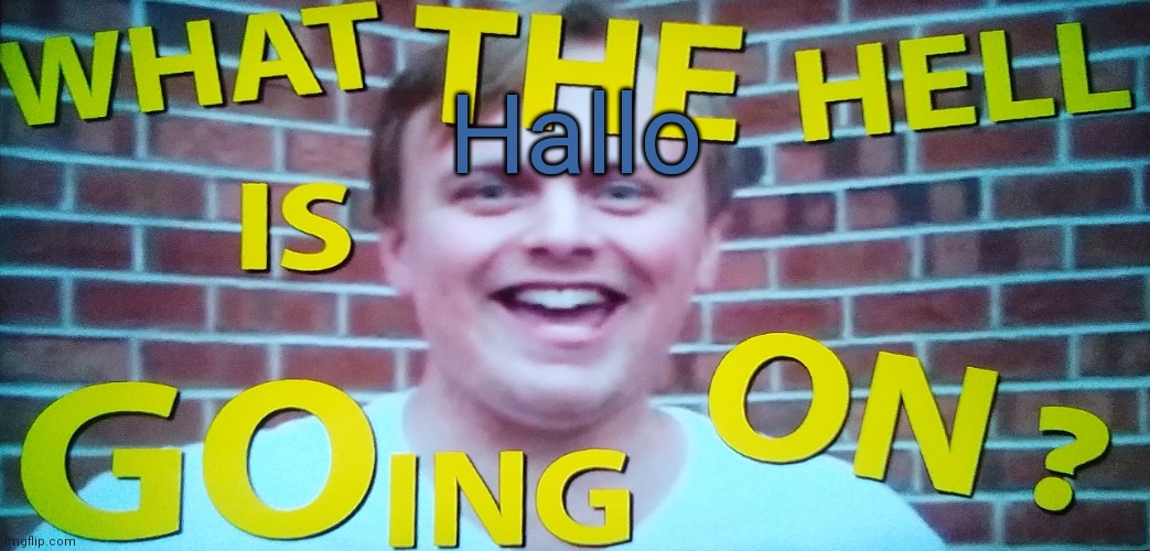 What the hell is going on | Hallo | image tagged in what the hell is going on | made w/ Imgflip meme maker