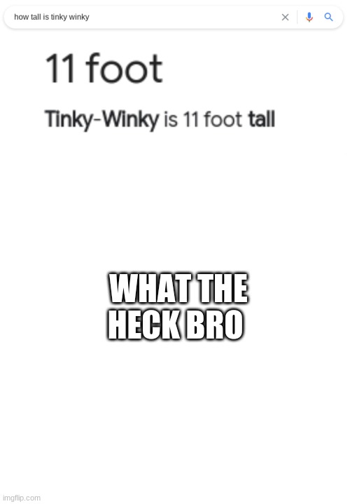 WHY IS IT SO TALL | WHAT THE HECK BRO | image tagged in memes,blank transparent square | made w/ Imgflip meme maker