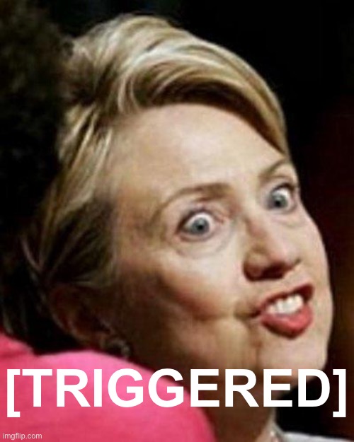 TRIGGERRRRREEEDDD | [TRIGGERED] | image tagged in hillary clinton fish | made w/ Imgflip meme maker