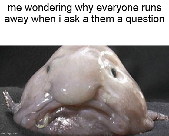 Lol seriously | me wondering why everyone runs away when i ask a them a question | image tagged in blobfish,sad face,me wondering,oh wow are you actually reading these tags,stop reading the tags,comment if you see this | made w/ Imgflip meme maker
