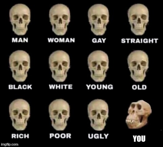 idiot skull | YOU | image tagged in idiot skull | made w/ Imgflip meme maker