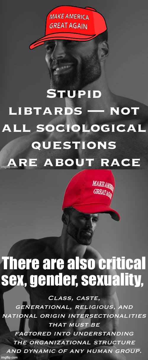 Top 10 things libz will never understand #MAGA | Stupid libtards — not all sociological questions are about race There are also critical sex, gender, sexuality, Class, caste, generational,  | image tagged in maga giga chad,maga giga chad big brain | made w/ Imgflip meme maker