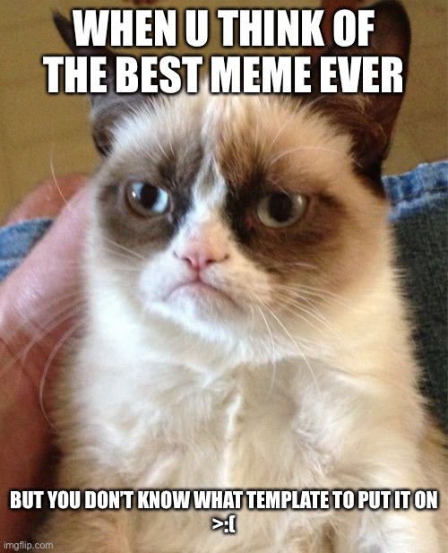 Grumpy Cat | WHEN U THINK OF THE BEST MEME EVER; BUT YOU DON’T KNOW WHAT TEMPLATE TO PUT IT ON
>:( | image tagged in memes,grumpy cat | made w/ Imgflip meme maker