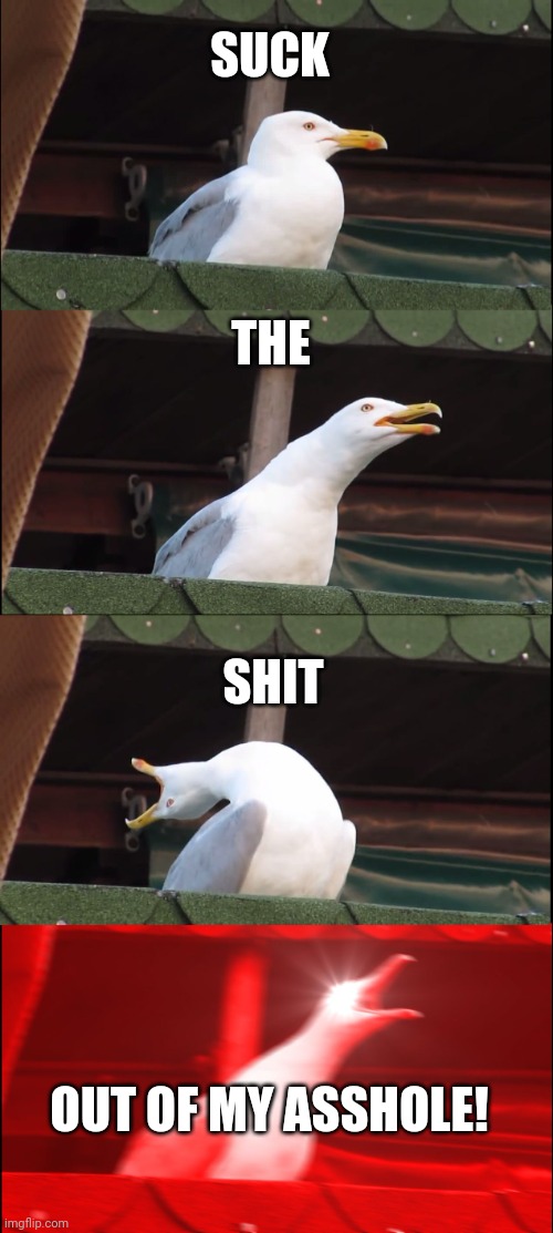 Hey moderators | SUCK; THE; SHIT; OUT OF MY ASSHOLE! | image tagged in memes,inhaling seagull | made w/ Imgflip meme maker