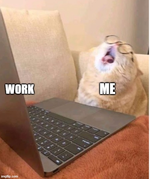 Gross | ME; WORK | image tagged in work,gross,lazy | made w/ Imgflip meme maker