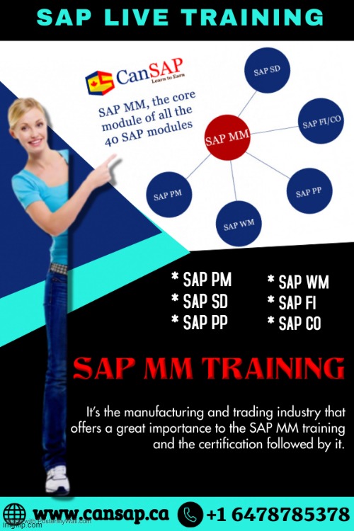 SAP MM Training | image tagged in sap mm training,sap training in calgary | made w/ Imgflip meme maker