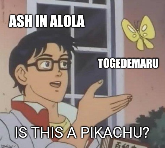 Ash in Alola | ASH IN ALOLA; TOGEDEMARU; IS THIS A PIKACHU? | image tagged in memes,is this a pigeon,pokemon,anime,too many tags,hehehe | made w/ Imgflip meme maker