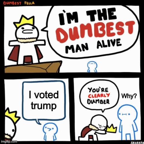 I'm the dumbest man alive | I voted
trump; Why? | image tagged in i'm the dumbest man alive | made w/ Imgflip meme maker