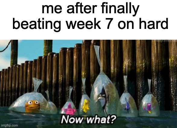 it took 4 days to beat week 7 | me after finally beating week 7 on hard | image tagged in blank white template,now what | made w/ Imgflip meme maker