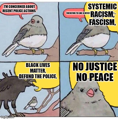 annoyed bird | SYSTEMIC RACISM, FASCISM, I'M CONCERNED ABOUT RECENT POLICE ACTIONS. THEREFOR I'D LIKE A REVIEW OF POLICE TRAINING AND ... NO JUSTICE

NO PEACE; BLACK LIVES MATTER, DEFUND THE POLICE, | image tagged in annoyed bird | made w/ Imgflip meme maker