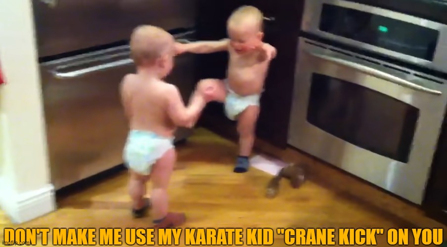 The Karate Kid "Crane Kick". | DON'T MAKE ME USE MY KARATE KID "CRANE KICK" ON YOU | image tagged in karate kid meme,crane kick meme | made w/ Imgflip meme maker
