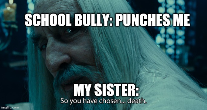 So yo have chosen death | SCHOOL BULLY: PUNCHES ME; MY SISTER: | image tagged in so yo have chosen death | made w/ Imgflip meme maker